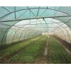 山東質(zhì)量好的溫室大棚——生態(tài)園藝溫室大棚
