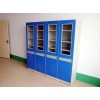 個性理化生實驗室儀器柜藥品柜，遠(yuǎn)誠，福州具有口碑的理化生實驗室儀器柜企業(yè)