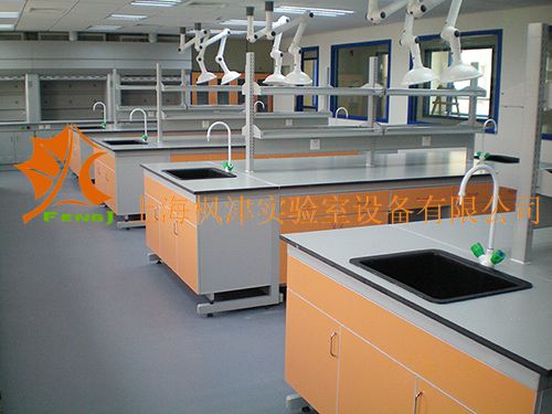 鋼木實(shí)驗(yàn)臺 (7)-大副本