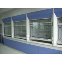 供應(yīng)長春，黑龍江，遼寧實驗室全鋼通風(fēng)柜