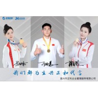 2026年1月實物印章廠家推薦，資質(zhì)技術(shù)案例三維硬核測評